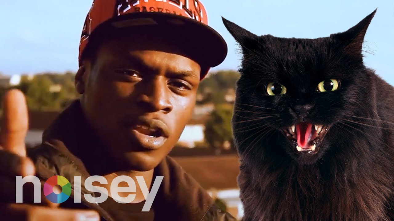 The Rapper Who ‘Turned into a Cat’