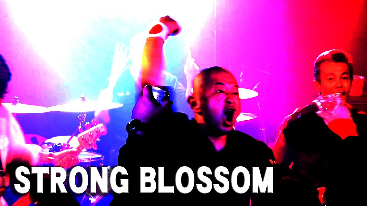 STRONG BLOSSOM　「光明」　戦国大統領　PiPi Night SPECIAL　2023.01.28