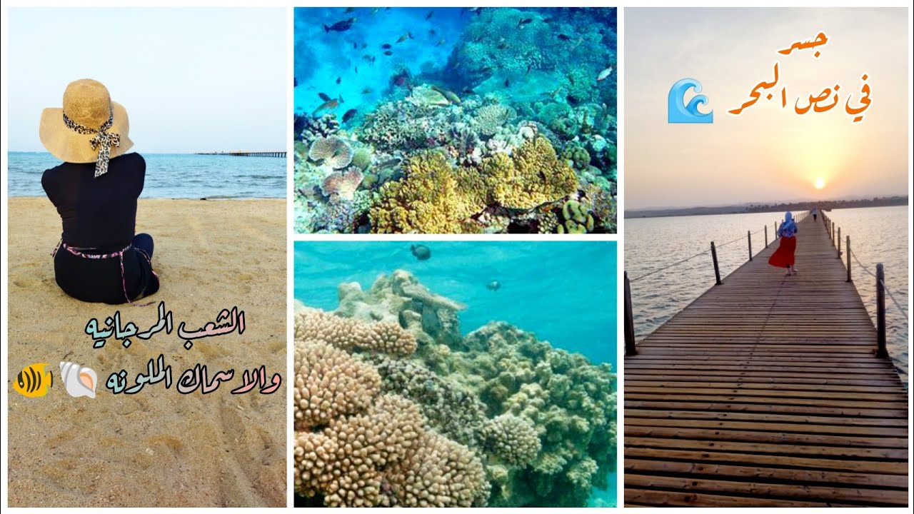 فلوج 3 | تاني يوم لينا في فندق ماجيك توليب اتفرجنا على الشعب المرجانيه  والسمك الملون😍 | part1