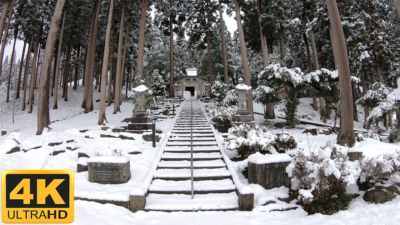 Snow falling forest shinto shrine Japan 4K 日吉神社