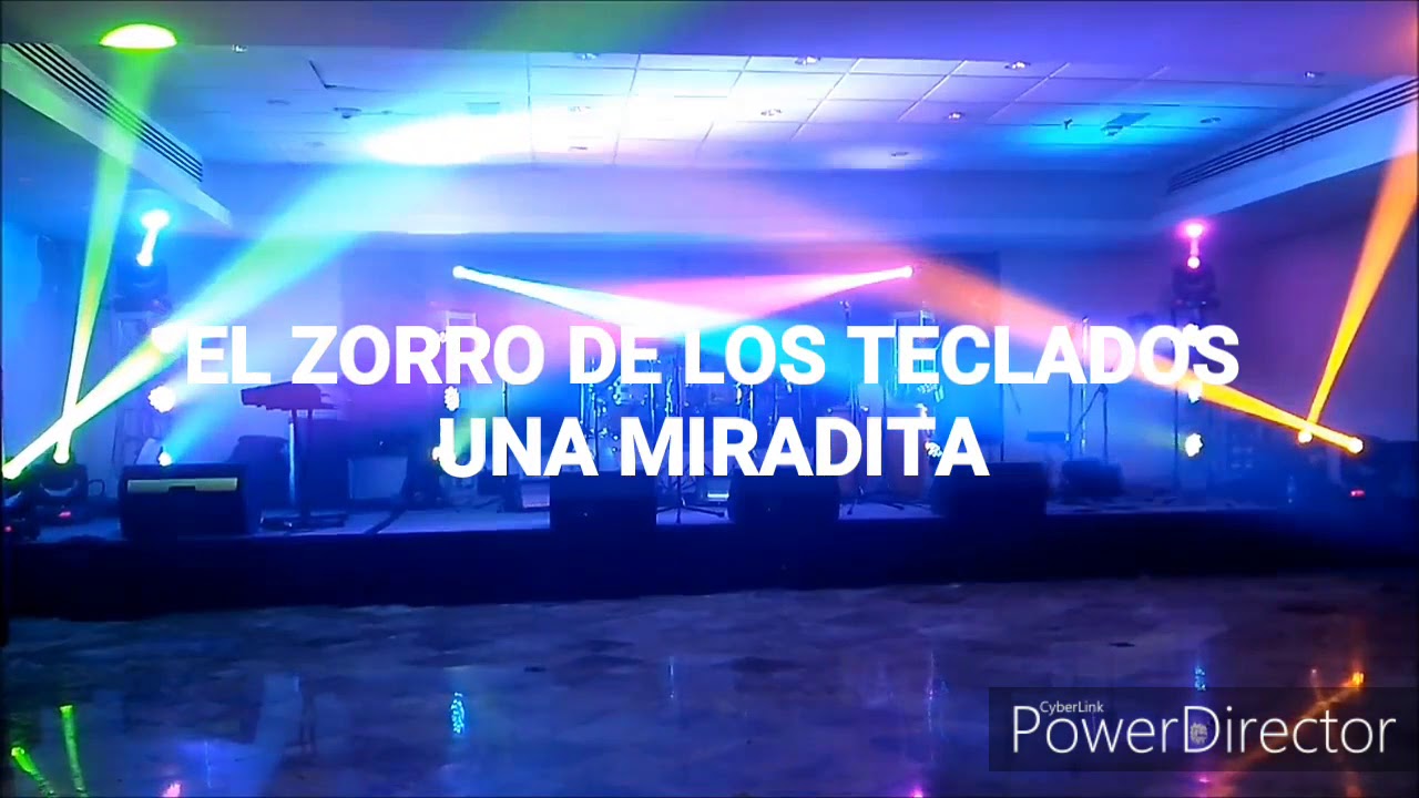 EL ZORRO DE LOS TECLADOS UNA MIRADITA