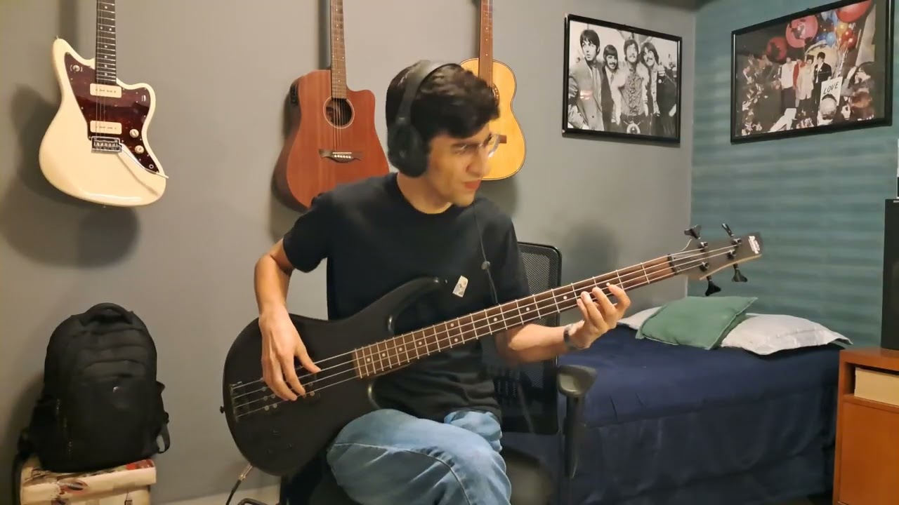 Satellite Lovers -  How Much I Love You, Baby (bass cover)