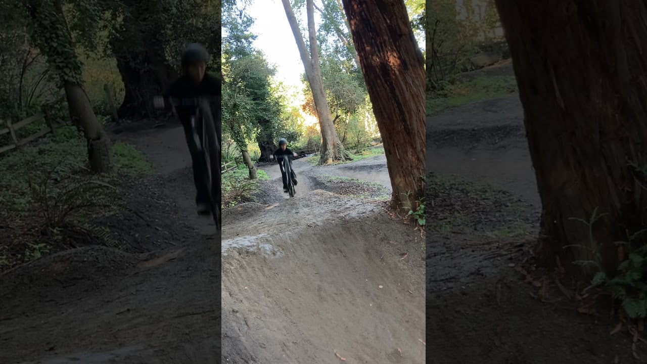 Harvey West Pumptrack 