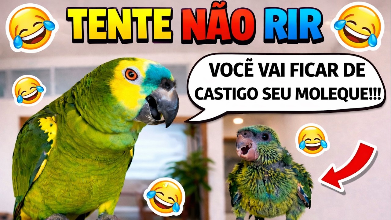 Tente N&atilde;o Rir: O Papagaio Mais Engra&ccedil;ado Da Internet #4 🤣🤣🤣