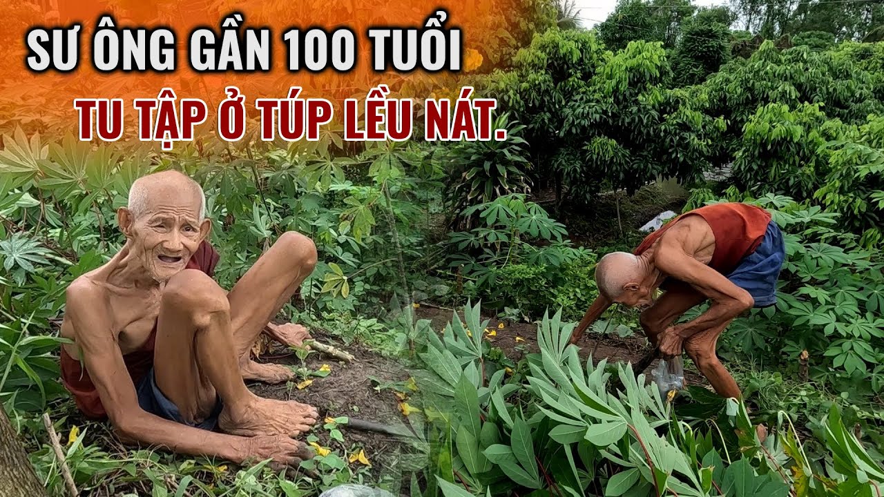 Sư Ông gần 100 tuổi tu tập ở túp lều nát hằng ngày lom khom một mình trồng rau