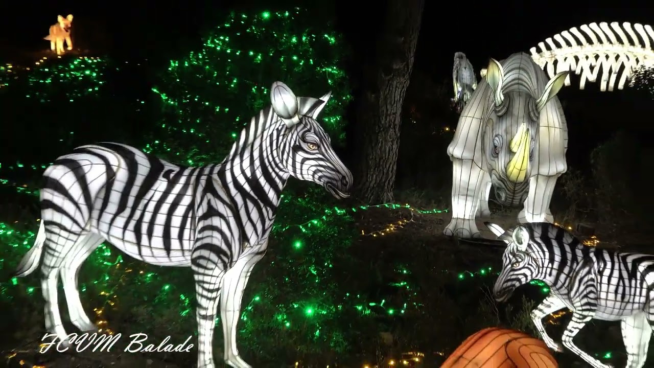 Lumière d'Afrique II réserve Africaine Sigean 2025