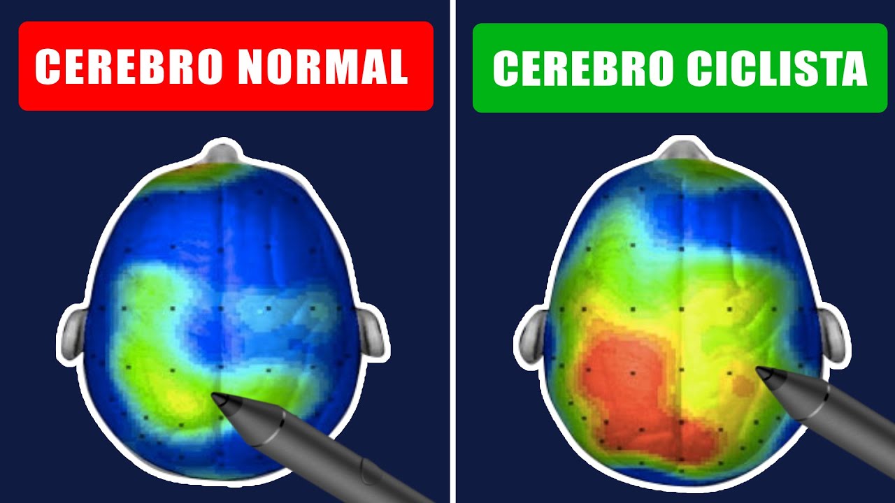 QUÉ LE HACE EL CICLISMO A TU CEREBRO 🚲SALUD CICLISTA