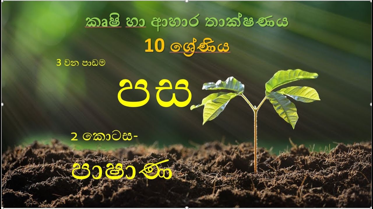 10 ශ්‍රේණිය -කෘෂි හා ආහාර තාක්ෂණය -පස - part 2 - පාෂාණ| grade 10| agricutture | soil | agri school