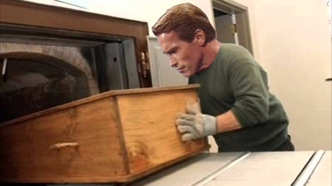Arnold Schwarzenegger Tries to Cremate His Father