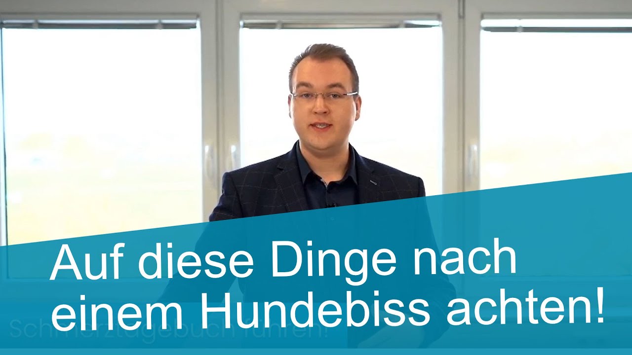 Hundebiss? Wichtige Tipps f&uuml;r dein Schmerzensgeld!