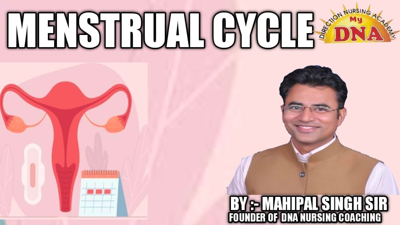 MENSTRUAL CYCLE
