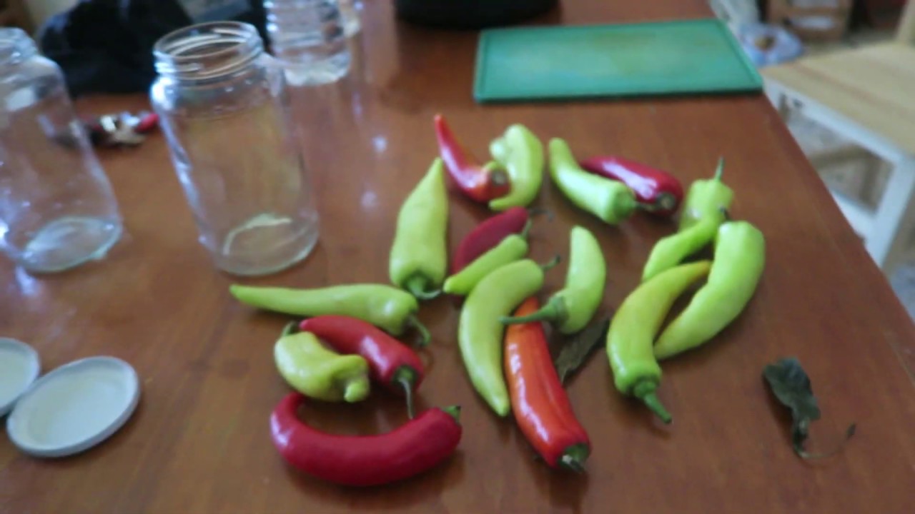 como hacer ajíes en vinagre (para comer en el momento)