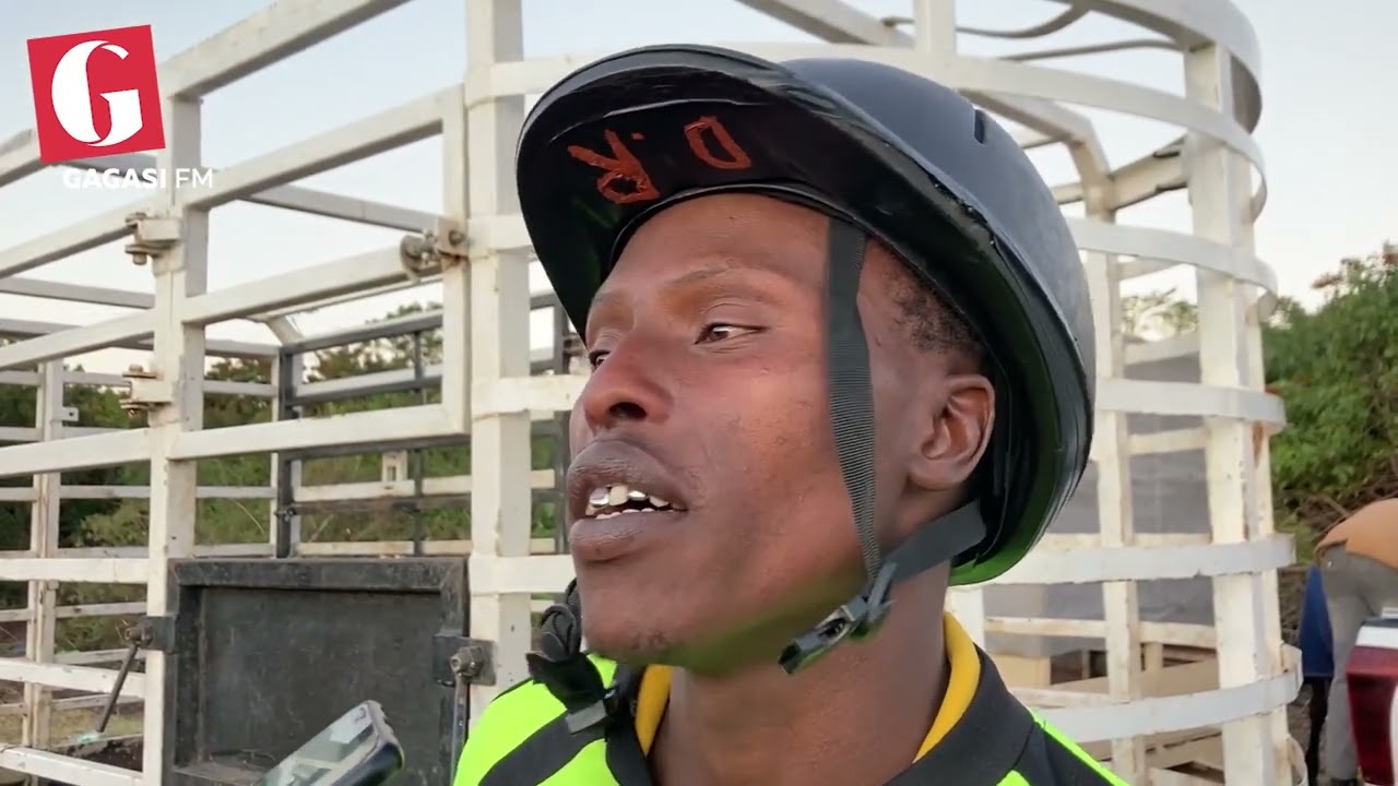 U-Doctor Gama Unes'fiso Sokungenela I-Hollywoodbets Durban July