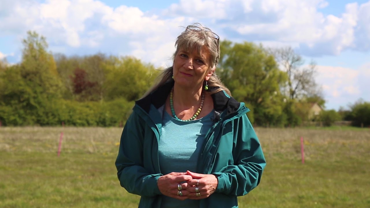 Code of Practice for Responsible Metal Detecting in England and Wales with subtitles