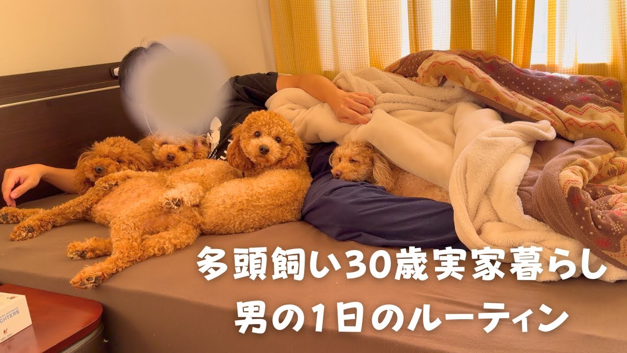 多頭飼い男の休日ルーティン【デカプー】