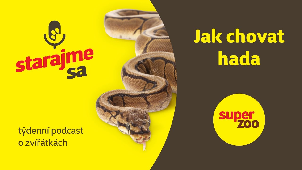 Jak chovat hada | Podcast Super zoo