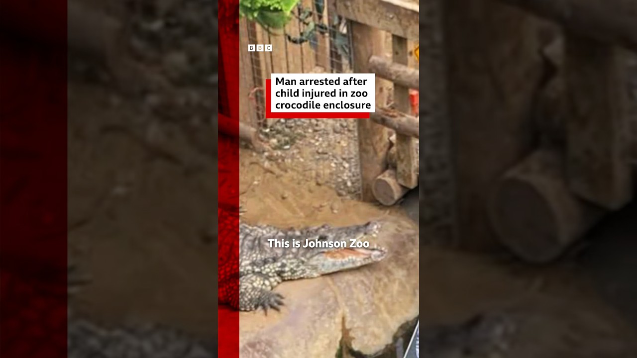 Man arrested on suspicion of attempted murder after boy injured in UK crocodile enclosure. #BBCNews