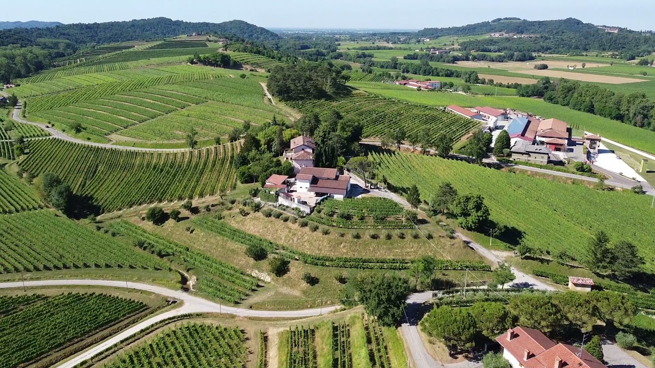 Colli Orientali Friuli