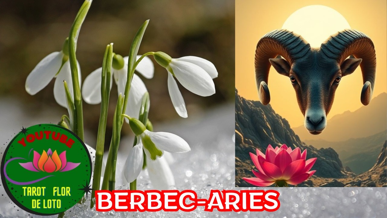 BERBEC♈1-8 MARTIE 2026💕🌷⛅ADAPTAREA ITI ADUCE STABILITATE SI BUNASTARE💕🌷⛅