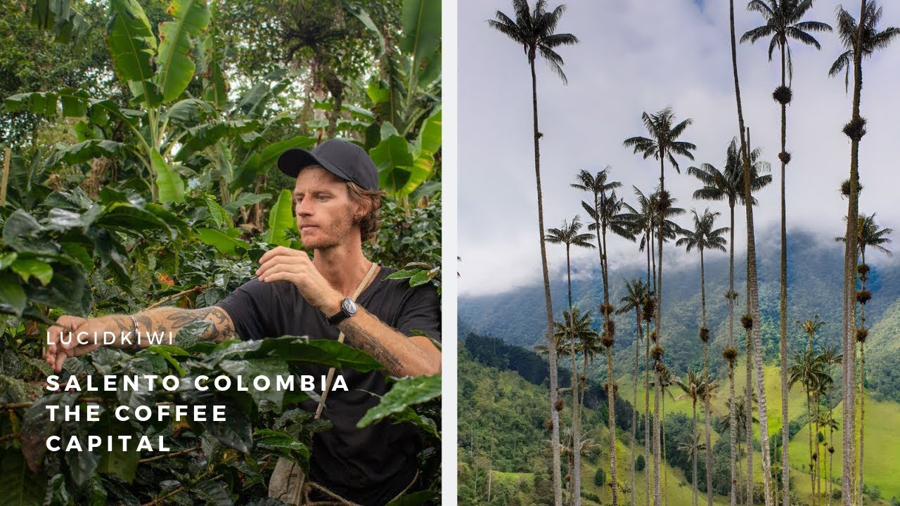 Salento Colombia The Coffee Capital