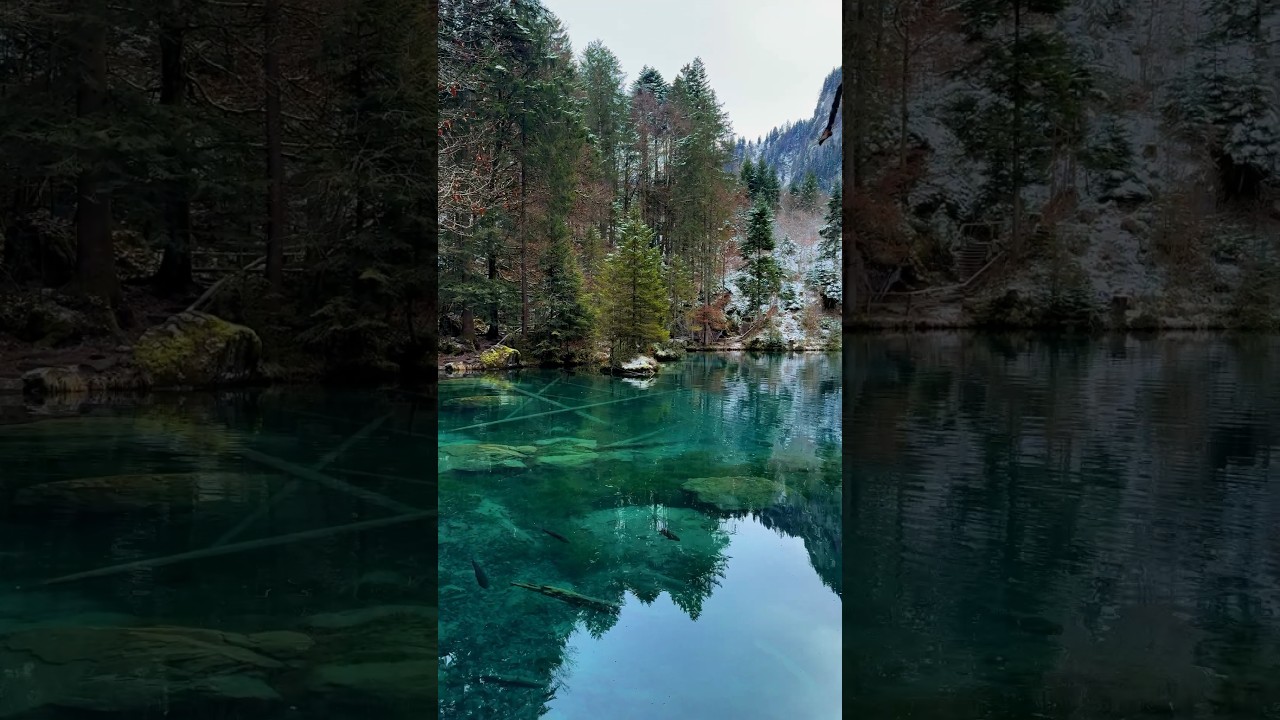 📍Blausee, Switzerland 🇨🇭Follow for daily Swiss Content 🇨🇭