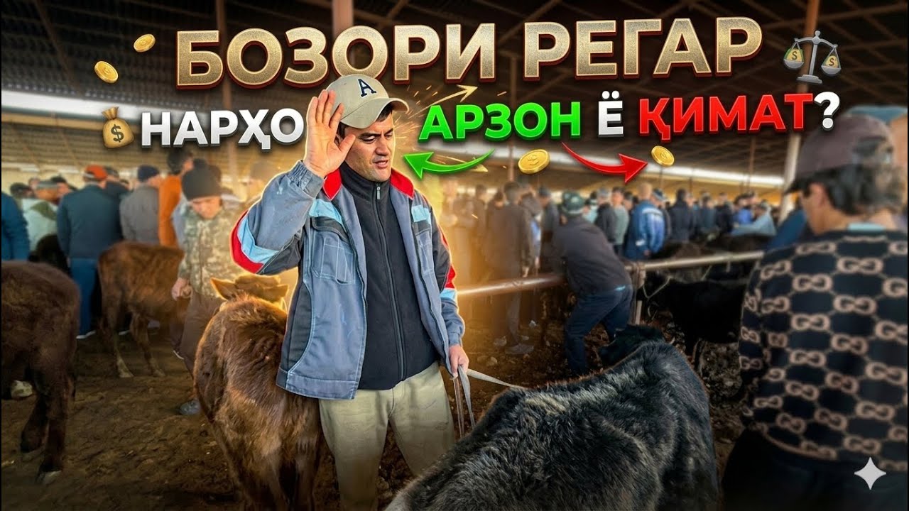 Моли майда ва калон бозори пахтаобод хатман срочно томошо кун 11 марта 2026 г.