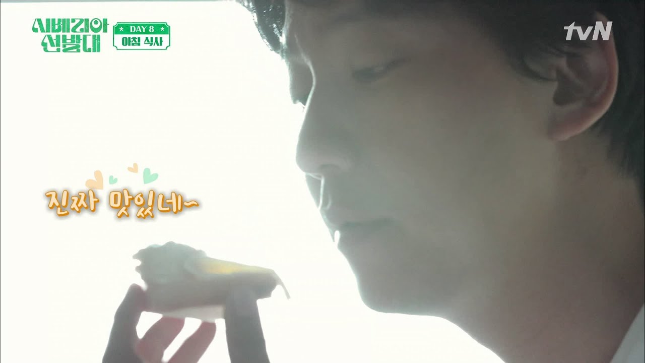 열차 세끼 2탄! 균대장표 과일 샐러드에 치즈와 빵이 있다면? 더 꿀맛! | 시베리아 선발대 Trans-Siberian Pathfinders 191031 EP.6