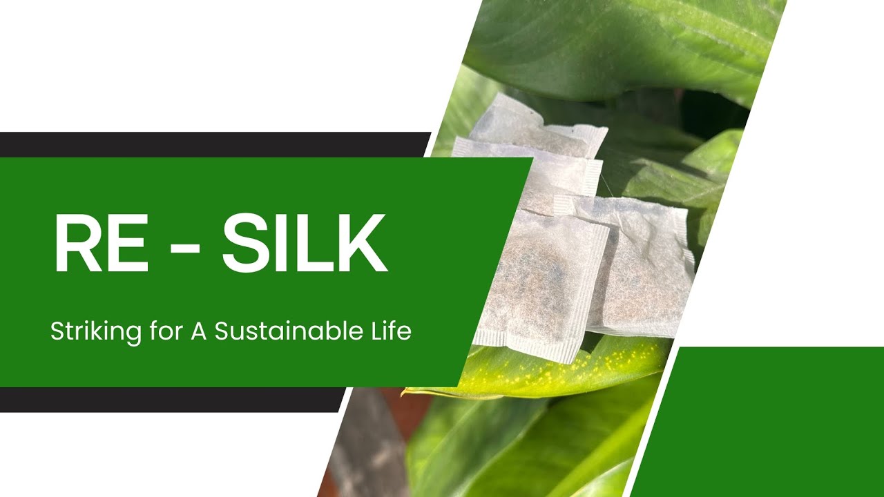 Re-Silk: Striking for A Sustainable Life | BUS2593 #BUS25932026 #KPMSI