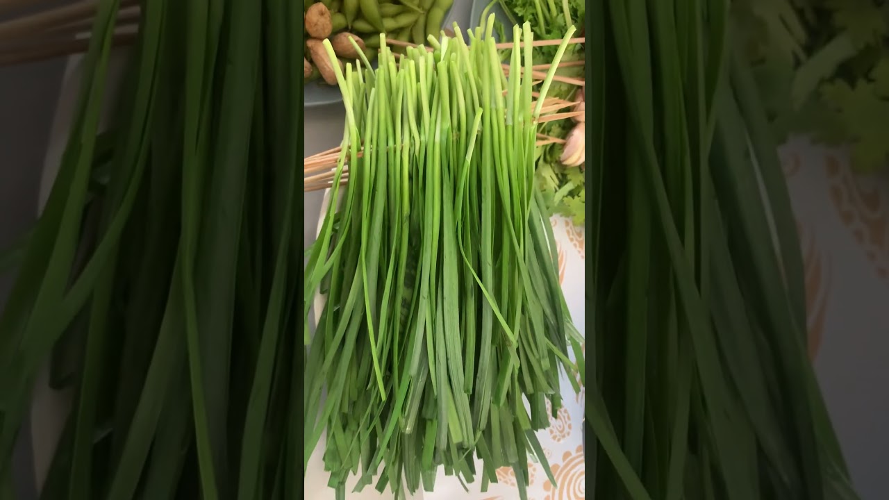 如何通過食補提高性能力？CP值高的養生茶配方幫你重振雄風！  #健康  #養生 #陽痿   #腎虛 #腎 #早泄 #中醫 #西醫 #壯陽 #食補