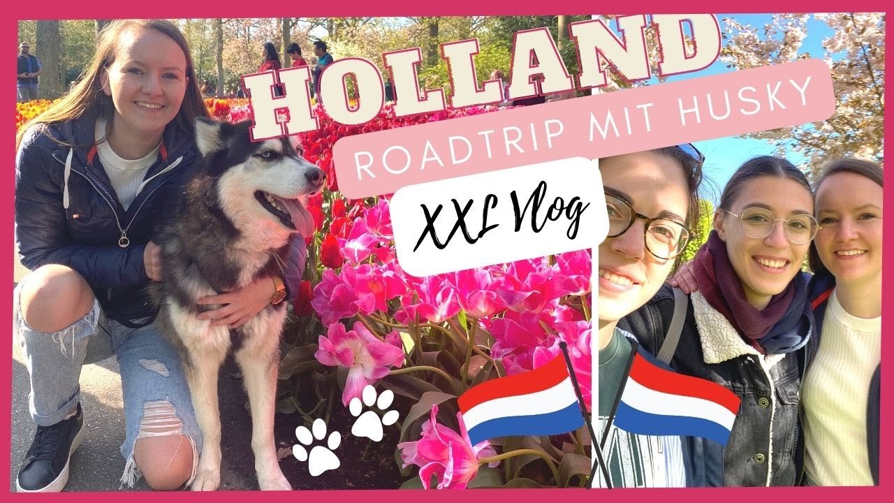 XXL VLOG: Holland 🇳🇱🌷Roadtrip mit Husky | Städtetrip | Huskies Lifestyle
