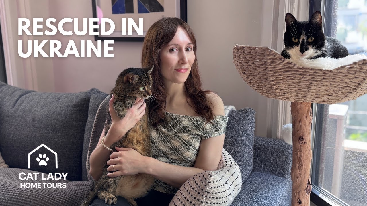 The Ukrainian Rescue Cats Who Inspired It All  | Cat Lady Home Tour