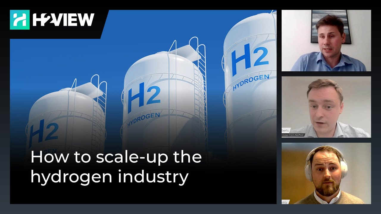 How to scale-up the hydrogen industry