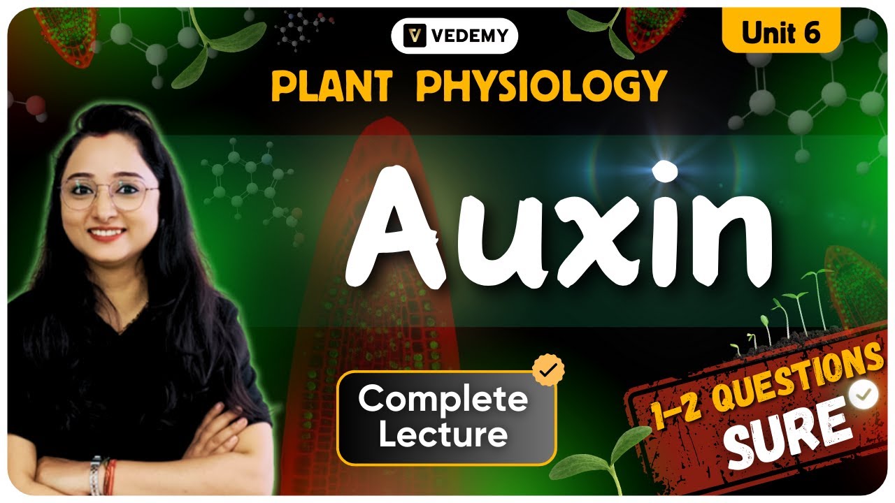 Auxin | Phytohormones | Plant Physiology | Complete Lecture | Jyoti Kumari | CSIR | DBT | GATE |