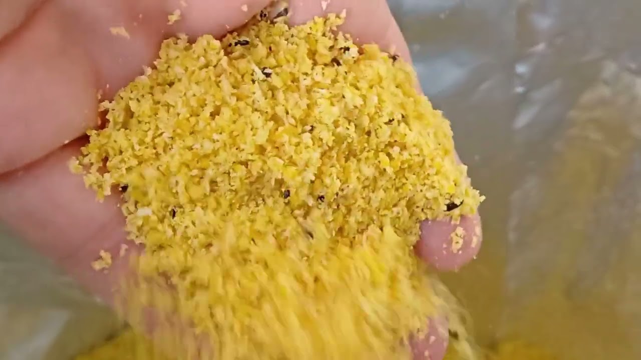 Voliera Esterna riproduzione 2024 di Passeri e Fringuelli