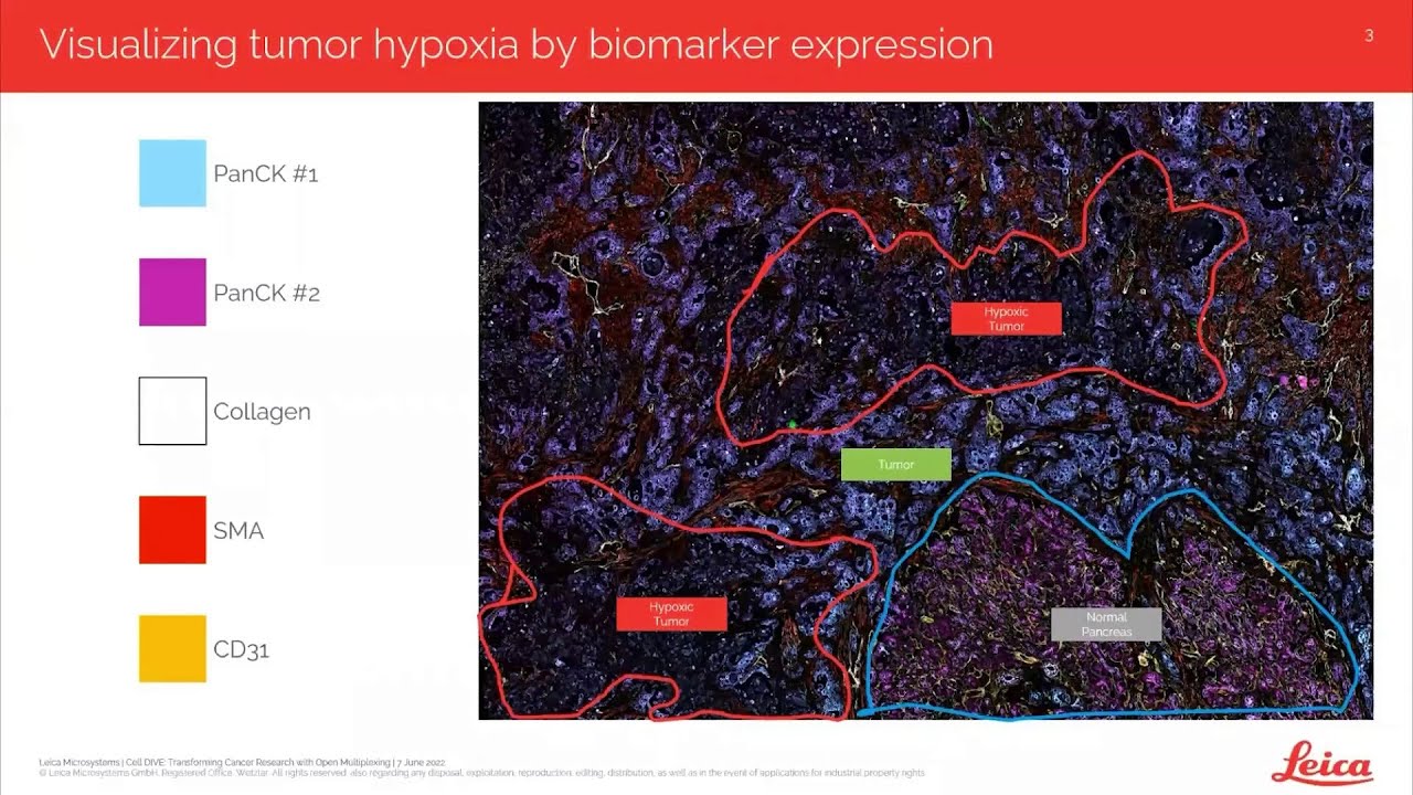 Open Multiplexing Transforming Tissue Research with Cell DIVE