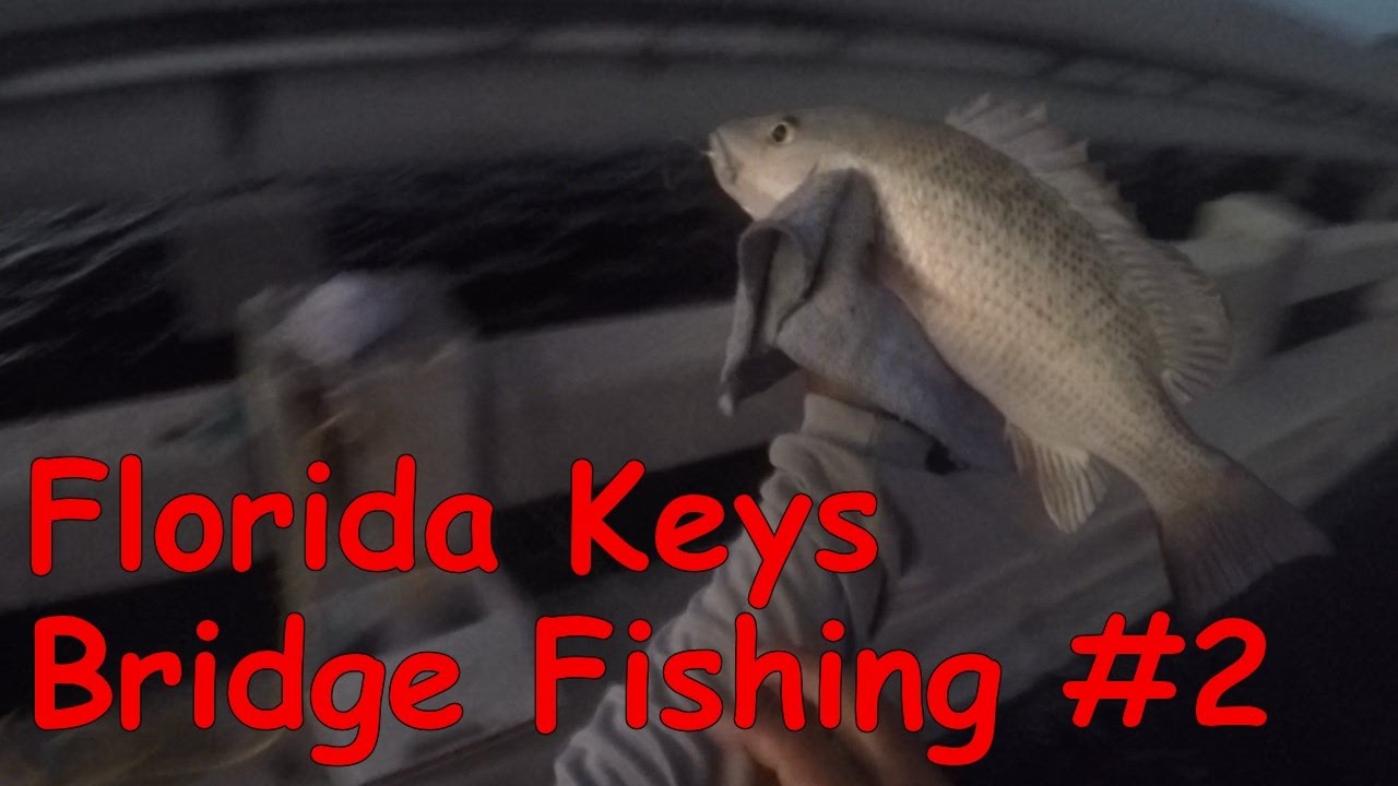 Key West Bridge Fishing - Episode #2 - Movin On Up (The Keys)