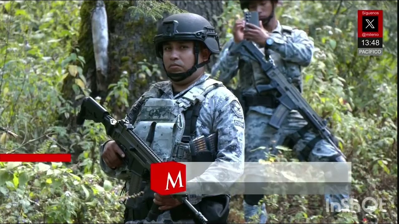 La Guardia Nacional refuerza la vigilancia de la mariposa monarca