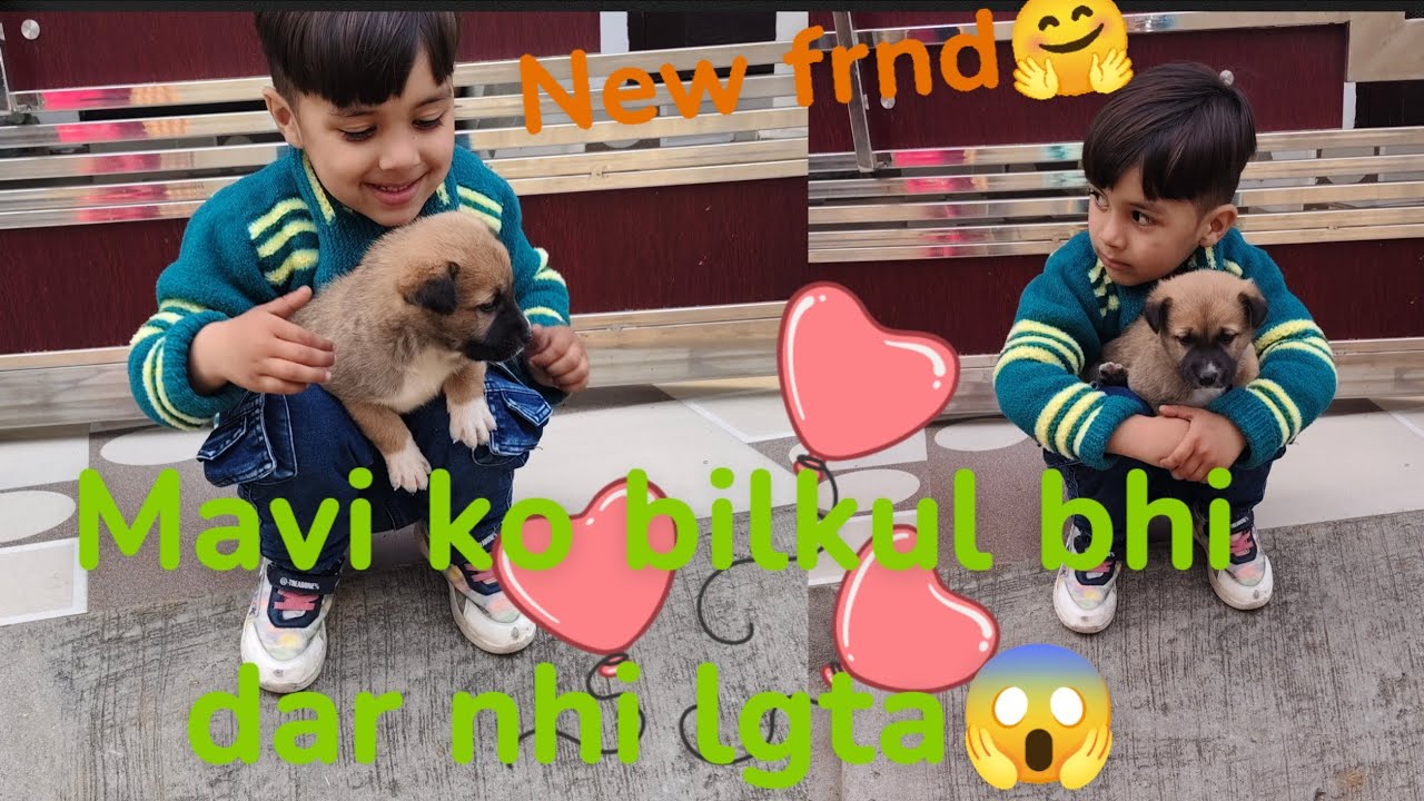 Mavi ko bilkul dar nhi lgta😱#Mavi ka new frnd#famlivlog #mavi masti#mavivlogs77 