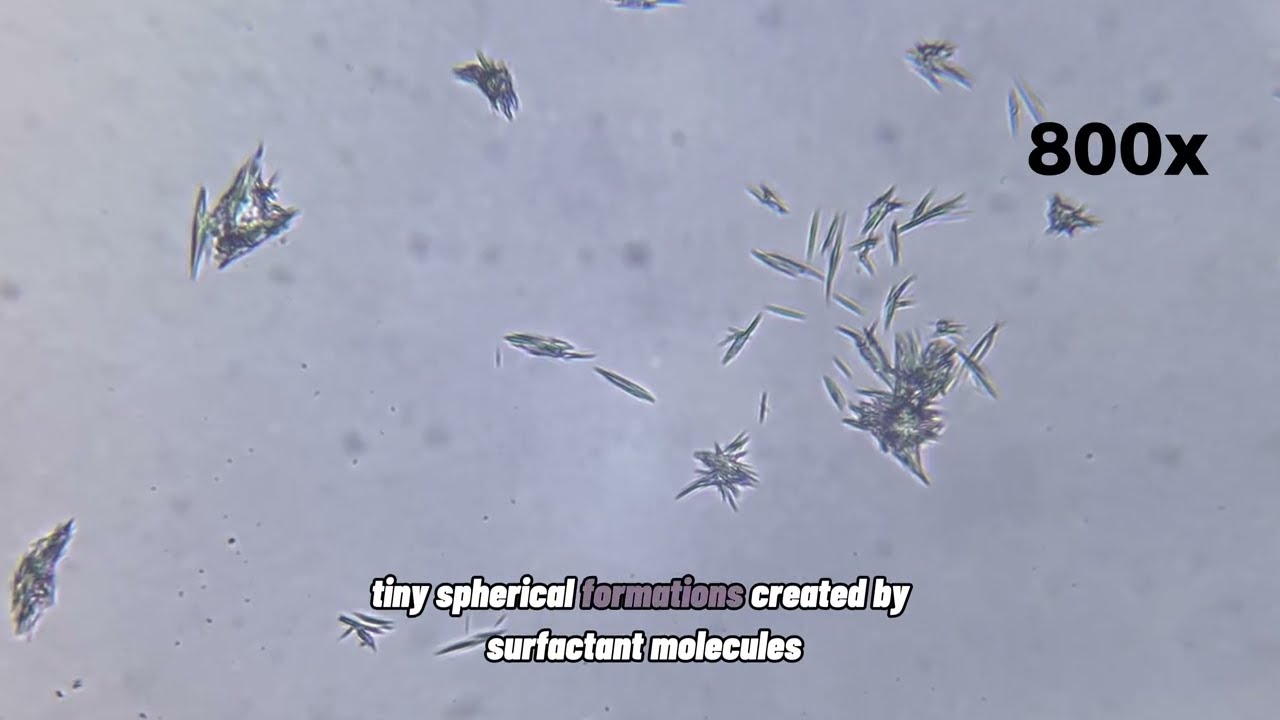 🔥YOU WASH DISHES WITH THIS EVERY DAY… look under a microscope