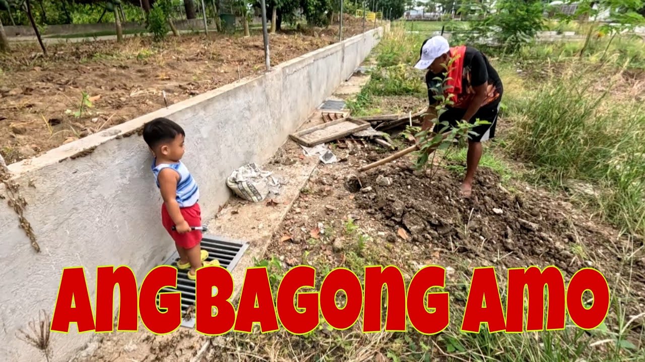 Kasama ko nanaman ang batang makulit |  Organic fertilizer sa mga bagong tanim