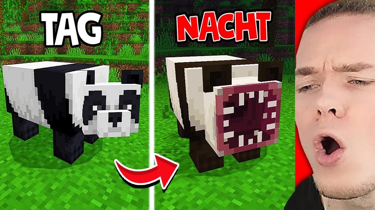 Ich TESTE VERBOTENE MOBS in DER NACHT... 😥