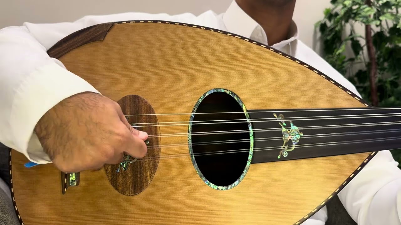 ياكيف تنشد عن أحوالي #محمد_عبده #أحلام #راشد_الماجد 