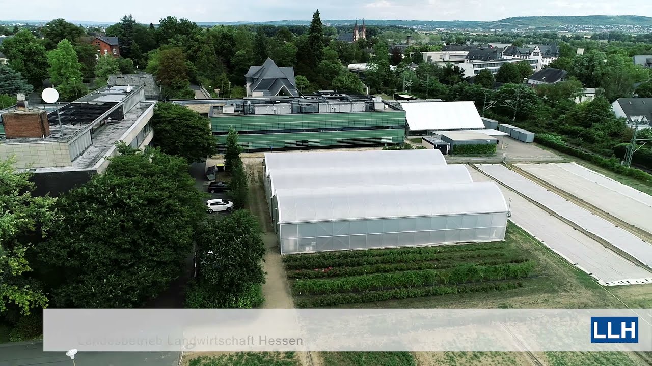 Gartenbauliches Versuchswesen des LLH am Standort Geisenheim