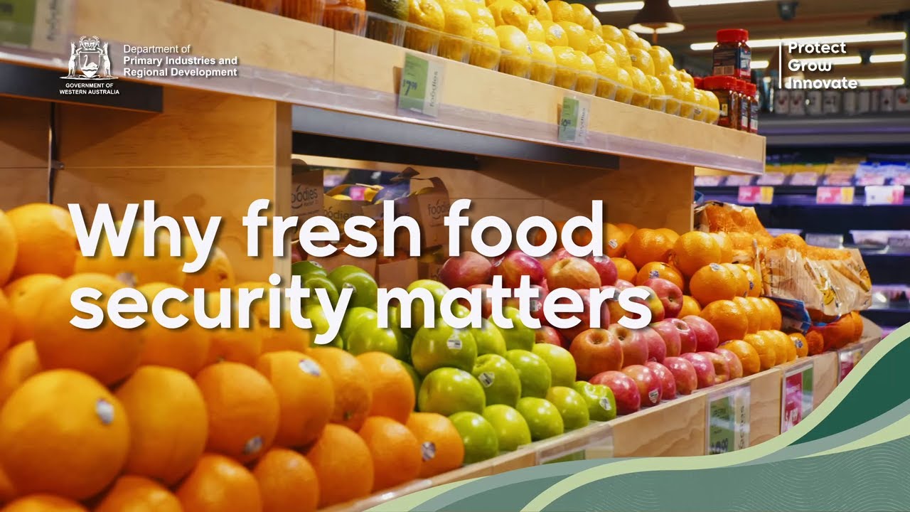 Почему важна безопасность свежих продуктов питания — WAHU 2025