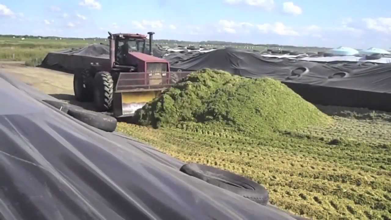 Silage 2011 - Dairy Farming in Canada