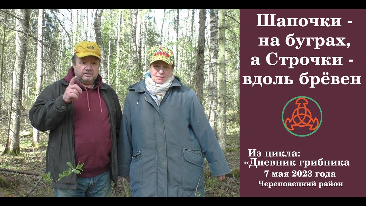 Шапочки  - на буграх,  а Строчки - вдоль брёвен. 