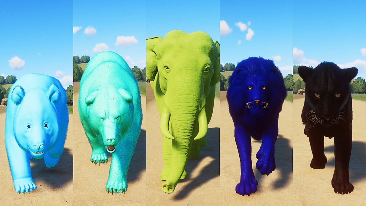 Planet Zoo - New Update 1.7 and North America Animal Pack | Colored Animals Race in Planet Zoo