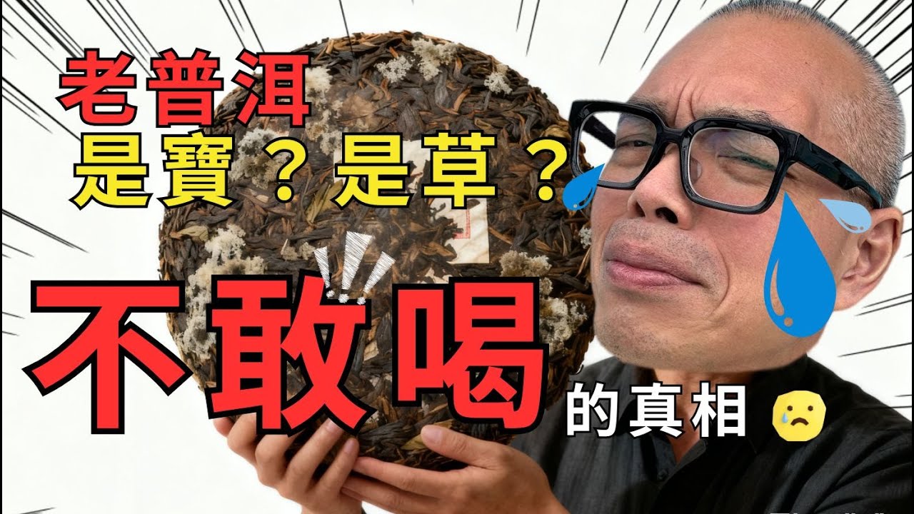 【挑戰迷思】你家那塊老普洱是寶？是草？專家不敢喝的真相！＃普洱茶保存  #老茶 #茶葉保存 #茶知識 #普洱茶收藏 #發霉  #teastorage #puerhtea  #teaknowledge