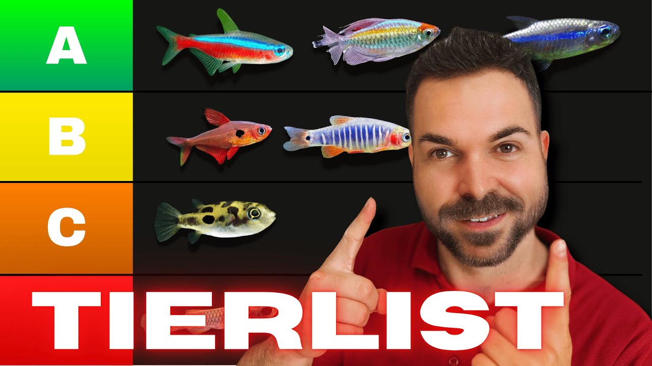 TOP 20 PECES para AQUASCAPING 🐠🔥 ¡Evita el Error de Elegir Mal! [Tier List Definitiva] ►