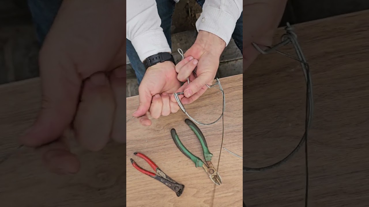 طريقة عمل الفخ بطريقة احترافية #اكسبلور #الحياة البرية #الطبيعة 